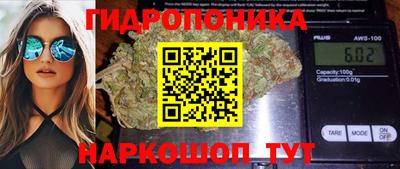 таблы Новозыбков