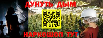 стафф Новокубанск