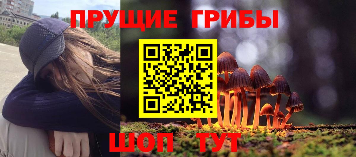 Тамбов  Псилоцибиновые грибы Magic Shrooms  Вход с VPN 